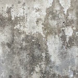 Meet your Posher, Brant